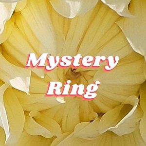 Mystery Ring ~ A Jewelry Surprise shipped to your doorstep!